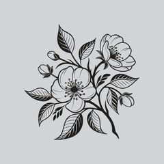 Ranunculus Bloom and Bud Artistic Silhouette