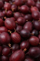Fresh ripe red gooseberries as background, closeup