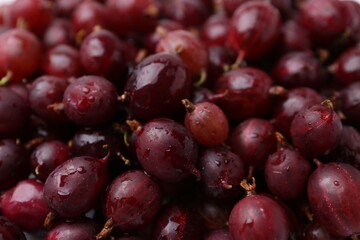 Fresh ripe red gooseberries as background, closeup
