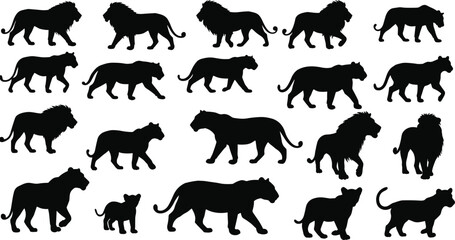 Lion silhouettes, male and female lions, cub interaction poses, walking and standing stances, wildlife vector set, isolated, white background