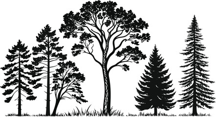 Pine tree silhouettes. Evergreen forest firs and spruces black shapes, wild nature trees templates. Vector illustration woodland trees set on white background. black silhouette vector illustration 