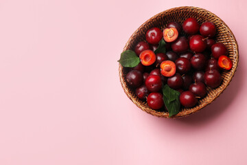 Ripe cherry plums and green leaves in wicker basket on pink background, top view. Space for text