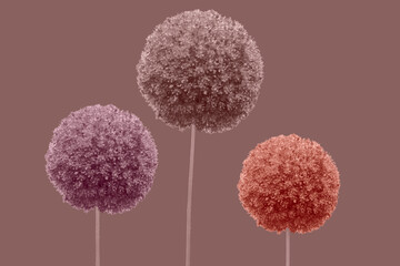 Abstract fuzzy flowers on solid background. Fluffy flower texture.