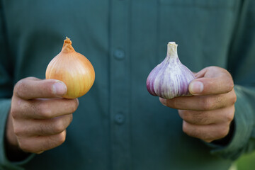 High quality close-up image of male hands holding an onion and a garlic bulb, symbolizing culinary...