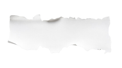 Torn white paper scrap isolated on white background 