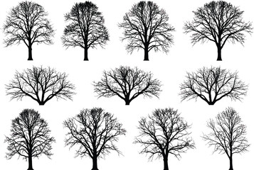 Bare tree silhouettes set, winter leafless trees vector, deciduous tree outline clipart, spooky forest elements, seasonal tree graphics, black silhouette illustration