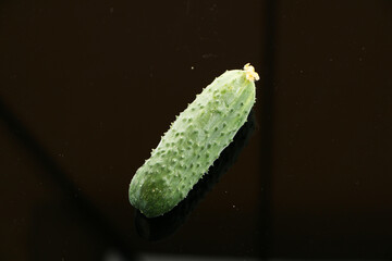 Fresh cucumbers on a black mirror background.