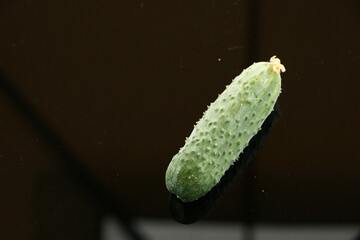 Fresh cucumbers on a black mirror background.