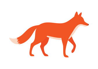 Fototapeta premium Stylized red fox walking with a bushy tail vector illustration
