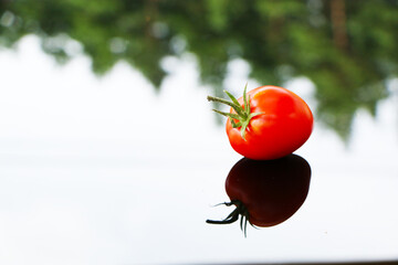 Fresh tomatoes on a black mirror background.