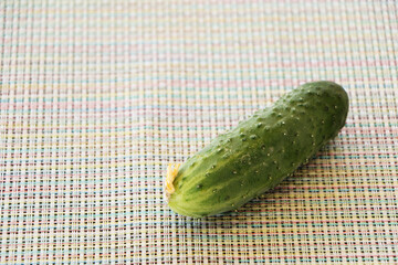 Harvest of ecologically clean cucumbers.
