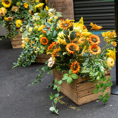 Sunflowers and Greenery in Wooden Crates Outside a Shop
