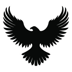 eagle on white background