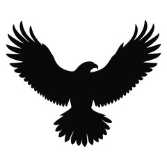 eagle on white background