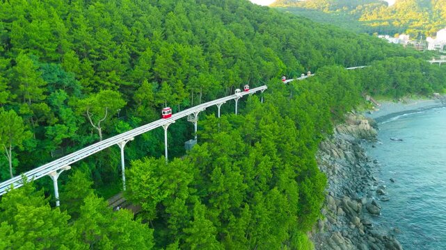 Aerial of a colorful elevated monorail train traveling along a green forested coastline with a rocky beach and ocean, in Busan, South Korea.