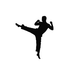 Martial artist performing dynamic jump front kick arts