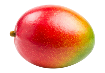 Vibrant ripe mango fruit with red yellow and green hues isolated on transparent background