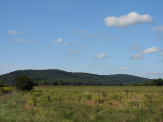 The natural beauty of the wilderness, within the Middle Creek Wildlife Management Area, during the early autumn season. Lancaster County, Pennsylvania.