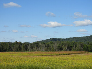 Fototapeta premium The natural beauty of the wilderness, within the Middle Creek Wildlife Management Area, during the early autumn season. Lancaster County, Pennsylvania.