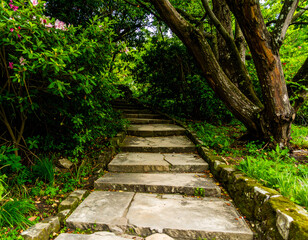 Stone Steps Winding Through a Lush Green Garden
