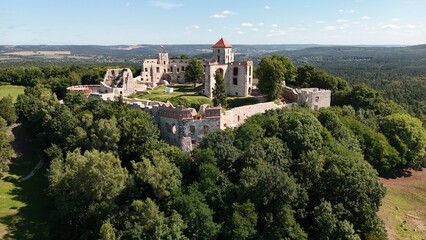 Fototapeta premium Zamek Tenczyn – leżący na Jurze Krakowsko-Częstochowskiej, włączonego w XIV wieku do kazimierzowskiego systemu Orlich Gniazd, we wsi Rudno, Małopolska, Polska, Europa,