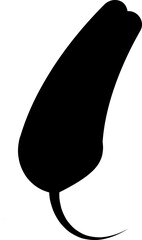 Chili pepper icon , capsicum hot spice vector jalapeno silhouette and outline, cayenne symbol vegetable pictogram pack in flat style for seasoning design isolated isolated on transparent background.