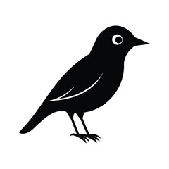 Obraz premium silhouette, shadow, outline, perched, flying, graceful, elegant, minimal, dark, winged,
