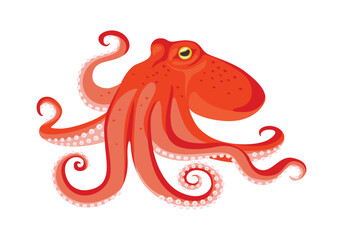 Octopus isolated on white background. Vector cartoon flat illustration