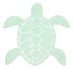 Fototapeta premium PNG Turtle reptile animal