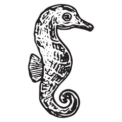 Fototapeta premium Intricate Seahorse Drawing – Black and White Hand-Drawn Ocean Creature Illustration