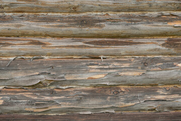 Naklejka premium Old wooden log house wall background texture