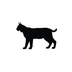 Black silhouette of a wildcat standing animal