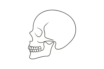 Minimalist single line drawing a human skull in profile view head bone
