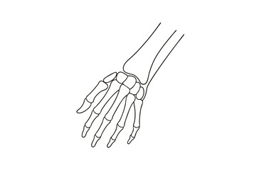 Minimalist single line drawing a human hand skeleton bone anatomy