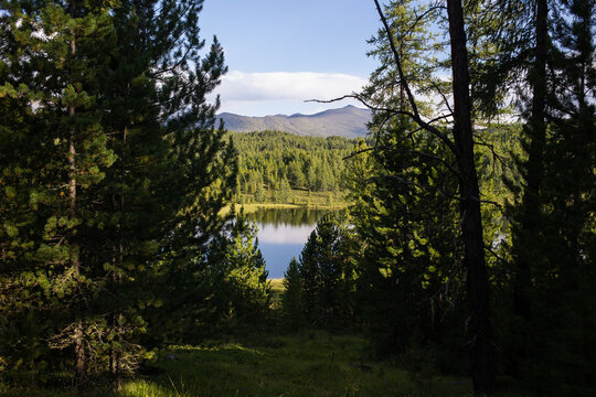 mountain lake in the forest. natural landscape. abstract background about rest and travel