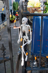 Anticipating the Spooky Night. A lonely skeleton welcomes the season of fright.