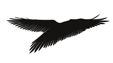 Soaring bird silhouette, white background, design element