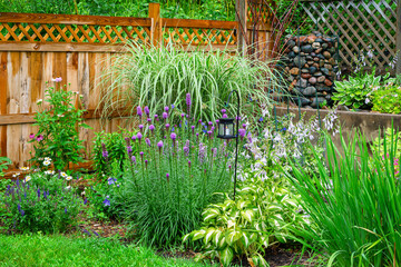 Corner Garden in the Rain With Beautiful Summer Flowers