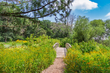 Midwest Prairie Path and Bridge Lined with Brown Eyed Susan Wildflowers