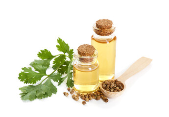 Aromatic oil in bottles, cilantro leaves and spoon of coriander seeds isolated on white