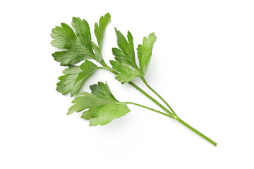 Sprig of fresh parsley isolated on white, top view
