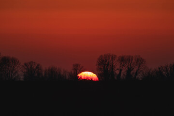 sole che tramonta all'orizzonte e colora di arancione intenso il cielo, con sagome nere di alberi...