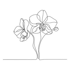 One line illustration of orchid flowers. Vector minimalistic floral design for greeting card.