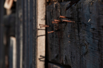 A macro shot focusing on several old, rusted nails embedded in the heavily weathered, dark wood of a barn or building.