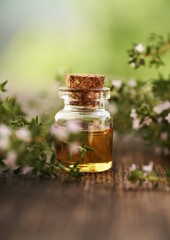 A bottle of aromatherapy essential oil with fresh blooming plant