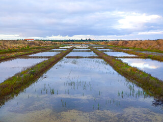 Salt pans and walkways at sunrise