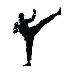 Silhouette Martial Artist High Kick