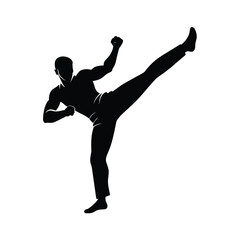 Martial Artist Silhouette High Kick