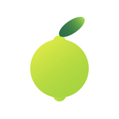Lime Vector Illustration