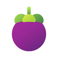 Mangosteen Vector Illustration